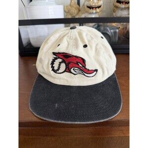 Vintage 90s New Jersey Jackals Minor League Baseball Cap Snapback